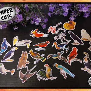 Mistura de PAPEL BM6 pássaros pacote recorte cortes vintage retro exigente ilustração crianças artesanato colagem decoração de casa animal natureza cartão fazendo etiqueta