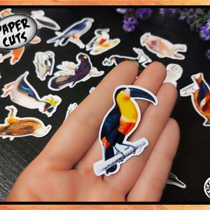 PAPER mix BM4 aves pack recorte troquel cortes vintage retro quisquilloso ilustración niños elaboración collage decoración del hogar animal naturaleza tarjeta haciendo etiqueta