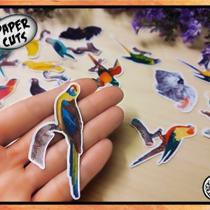 PAPER mix P1 loros pájaros paquete recorte troquel cortes vintage retro quisquilloso ilustración niños elaboración collage decoración del hogar tarjeta animal haciendo etiqueta