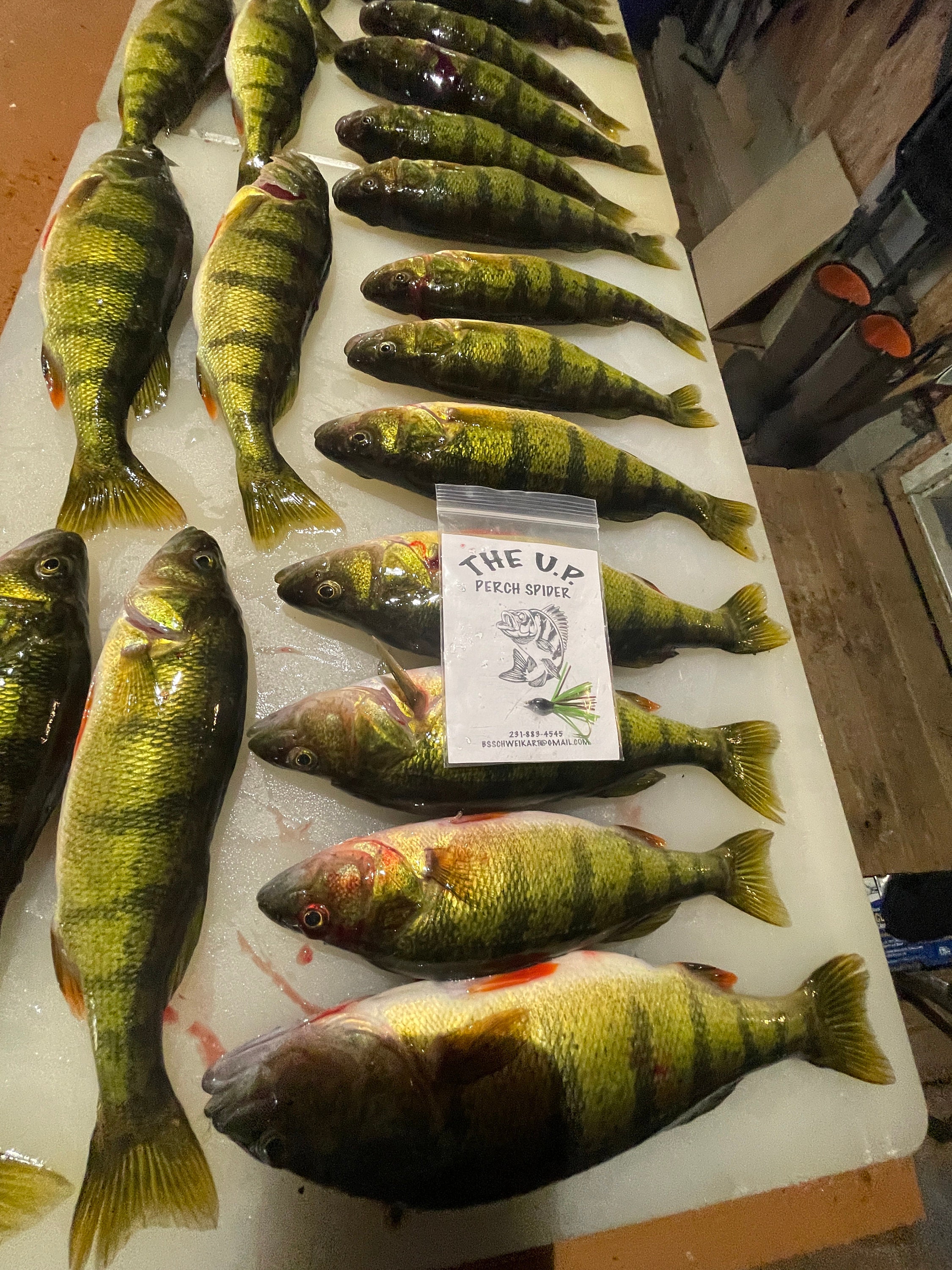 Homemade Perch Fishing Rig: Upper Peninsula Design - Etsy