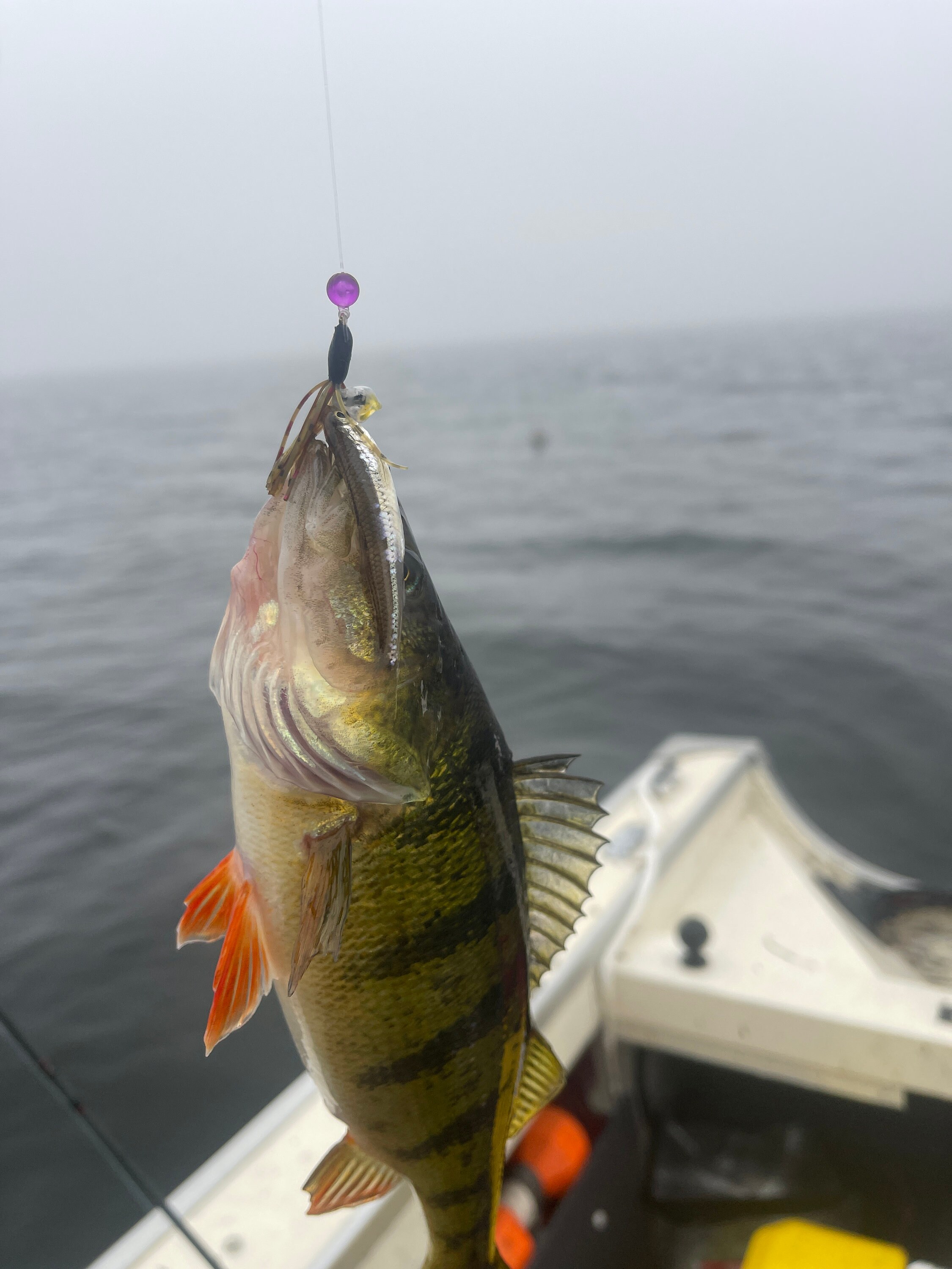 Homemade Perch Fishing Rig: Upper Peninsula Design - Etsy
