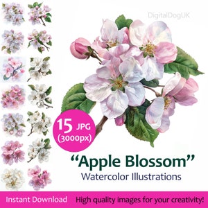 Pacote de clipart aquarela Apple Bloom, conjunto de ilustrações de flores de primavera, criação de cartões 15 imagens de qualidade jpeg, uso comercial incluído