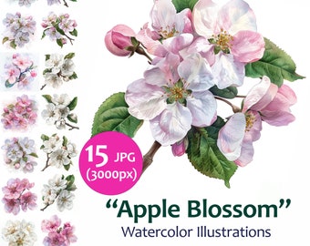 Watercolor Apple Bloom Clipart Bundle, Spring Flowers Blossom illustration Set, Card Making 15 jpeg Quality Images, Commercial Use Included