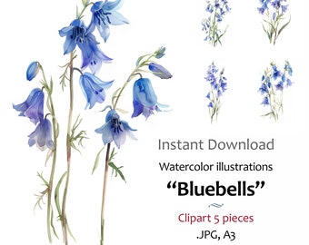 Bluebells Watercolor art painting, Floral clipart illustration, Wall art, Cards, 5 High Quality JPG Images, Commercial Use Included