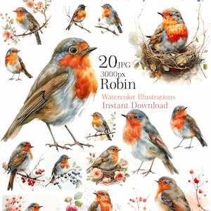 Ilustración de imágenes prediseñadas de pájaro Robin de acuarela para imprimir, 20 JPG de alta calidad, Descarga digital, Artesanía en papel, diario basura, sublimación