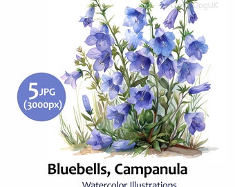 Bluebells Watercolor art painting, Floral clipart illustration, Wall art, Cards, 5 High Quality JPG Images, Commercial Use Included