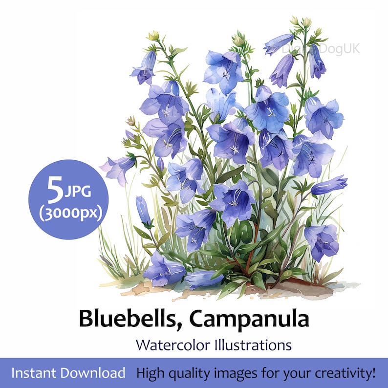 Bluebells Watercolor art painting, Floral clipart illustration, Wall art, Cards, 5 High Quality JPG Images, Commercial Use Included zdjęcie 1