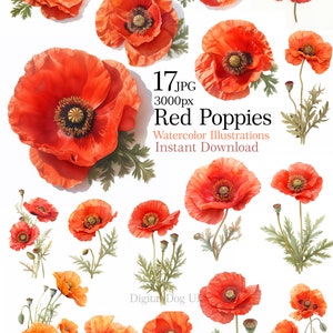 Clipart coquelicots aquarelle, coquelicots rouges isolés pour impression, 17 fichiers JPG de haute qualité, téléchargement numérique, créations en papier, sublimation de journal indésirable