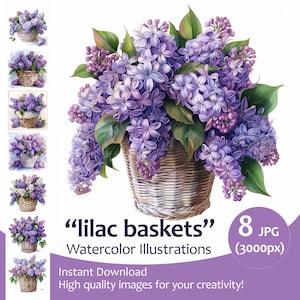 Cesta de flores moradas de lila Clipart Bundle Vintage acuarela, artesanía de tarjetas, Día de la Madre, 8 imágenes de calidad jpeg Uso comercial incluido