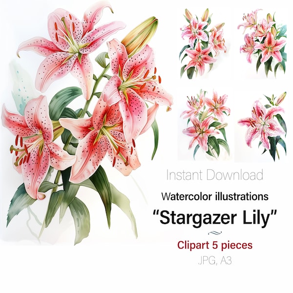 Stargazer lily Watercolor art painting, Floral clipart illustration, Wall art, Cards, 5 High Quality JPG Images, Commercial Use Included