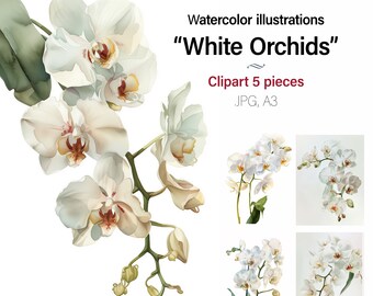 White Orchids Watercolor art painting, Floral clipart illustration, Wall art, Cards, 5 High Quality JPG Images, Commercial Use Included