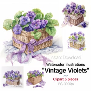 Veilchen Blumenkorb Vintage Aquarell. Lila blumen Karte Handwerk, Clipart, Junk Journal 5 hochwertige Bilder, kommerzielle Nutzung inklusive