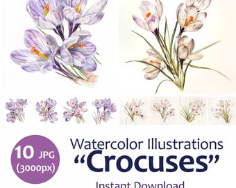 Watercolor Illustration Crocus, Spring Flower Clipart Set, Mother's day card, Crocus Bundle 10 jpeg Quality Images, Commercial Use Included