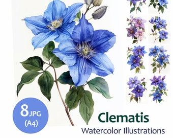 Flower Clipart Clematis Botanical Illustration Set 8 Quality Jpeg, for Wedding Invitations, Digital Prints, Collages, Card Making