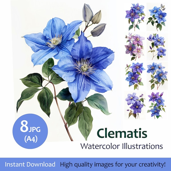Flower Clipart Clematis Botanical Illustration Set 8 Quality Jpeg, for Wedding Invitations, Digital Prints, Collages, Card Making