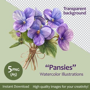 Aquarell Vintage Blume Stiefmütterchen Clipart, Veilchen, Stiefmütterchen Bundle 5 Qualität PNG transparentem Hintergrund, kommerzielle Nutzung inklusive, Kartenherstellung