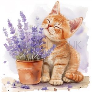 ラベンダー色の子猫の子供向けイラスト。カードクラフト 水彩クリップアート 5 枚の jpg 画像セット、商用利用可 デジタルダウンロード