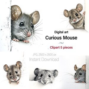 Art mural souris curieuse, ensemble de cliparts aquarelle souris, 5 images JPG, cartes, magazines, carte de voeux, usage commercial inclus téléchargement numérique