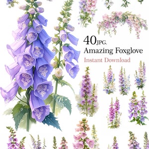 Clipart digitale aquarelle, belle illustration digitale rose bleu violet pour cartes postales, 40 images jpeg de qualité, usage commercial inclus