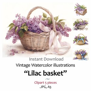 Fleur mauve panier de lilas Clipart Bundle aquarelle vintage, création de cartes, fête des mères, 5 images de qualité jpeg usage Commercial inclus