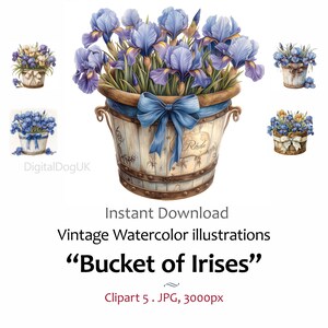 Balde aquarela vintage de clipart de flor de íris. Cartão de dia dos namorados artesanal Dia das mães 5 imagens de qualidade jpeg Uso comercial incluído