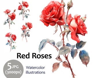 Red Roses Flower Clipart Botanical Illustration Set 5 Quality Jpeg, Rose Wall Art, Wedding Invitations, Collages, Card Making, Greeting Card