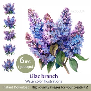 Lilac branch Clipart Bundle, Lilac flower, Set 6 Jpeg, Commercial Use Included, scrapbooking, greeting cards, digital planner, invited cards