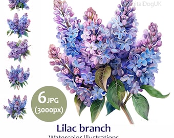 Lilac branch Clipart Bundle, Lilac flower, Set 6 Jpeg, Commercial Use Included, scrapbooking, greeting cards, digital planner, invited cards