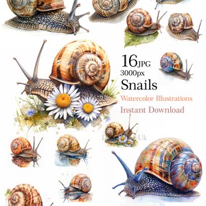 Escargot aquarelle avec fleurs clipart, illustration mignonne d'escargots, enfants carte animal, 16 images de qualité jpeg, usage commercial inclus