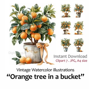 Laranjeira aquarela vintage em um balde clipart de flores, cesta de flores, cartão dia das mães 7 imagens de qualidade jpeg uso comercial incluído