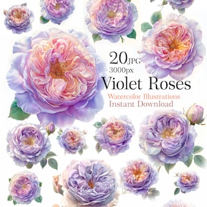 Aquarell violette Rosen Clipart, isolierte lila Rosen Bilder zum Drucken, 20 hochwertige JPG, digitaler Download, Junk Journal, Sublimation