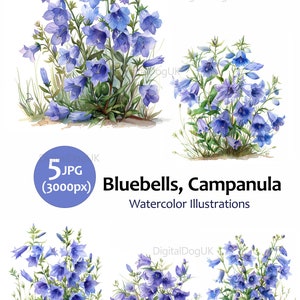 Bluebells Watercolor art painting, Floral clipart illustration, Wall art, Cards, 5 High Quality JPG Images, Commercial Use Included zdjęcie 2