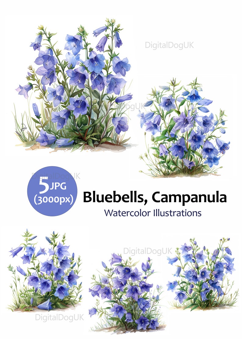 Bluebells Watercolor art painting, Floral clipart illustration, Wall art, Cards, 5 High Quality JPG Images, Commercial Use Included zdjęcie 2