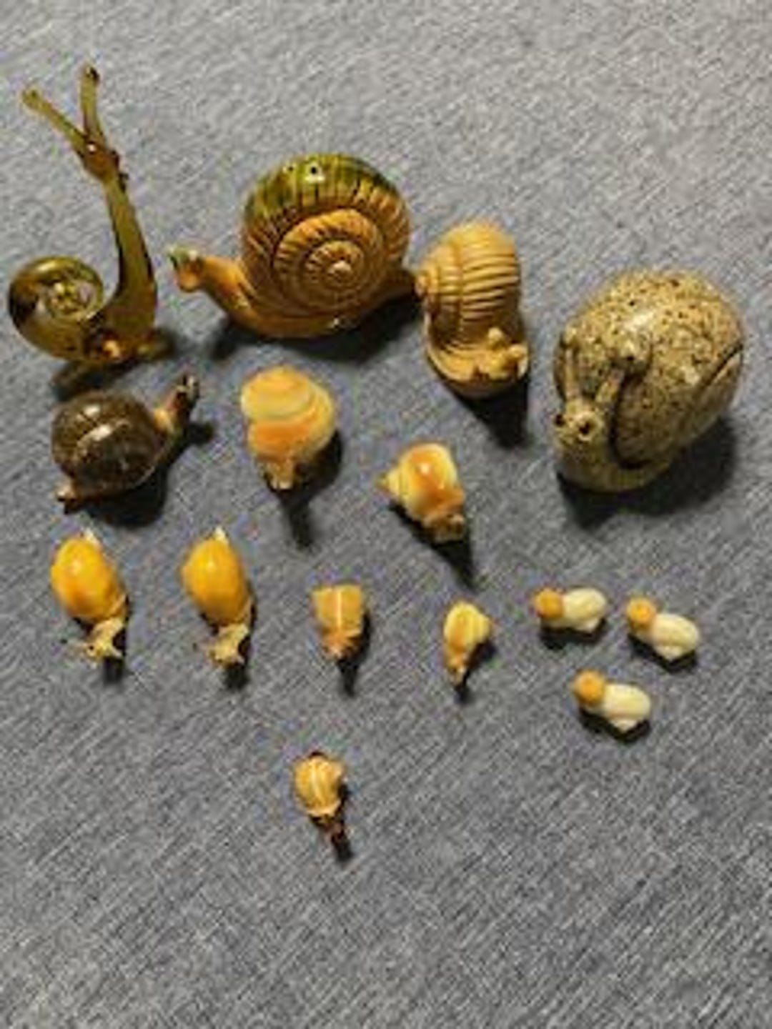 Collection of Snails - Etsy