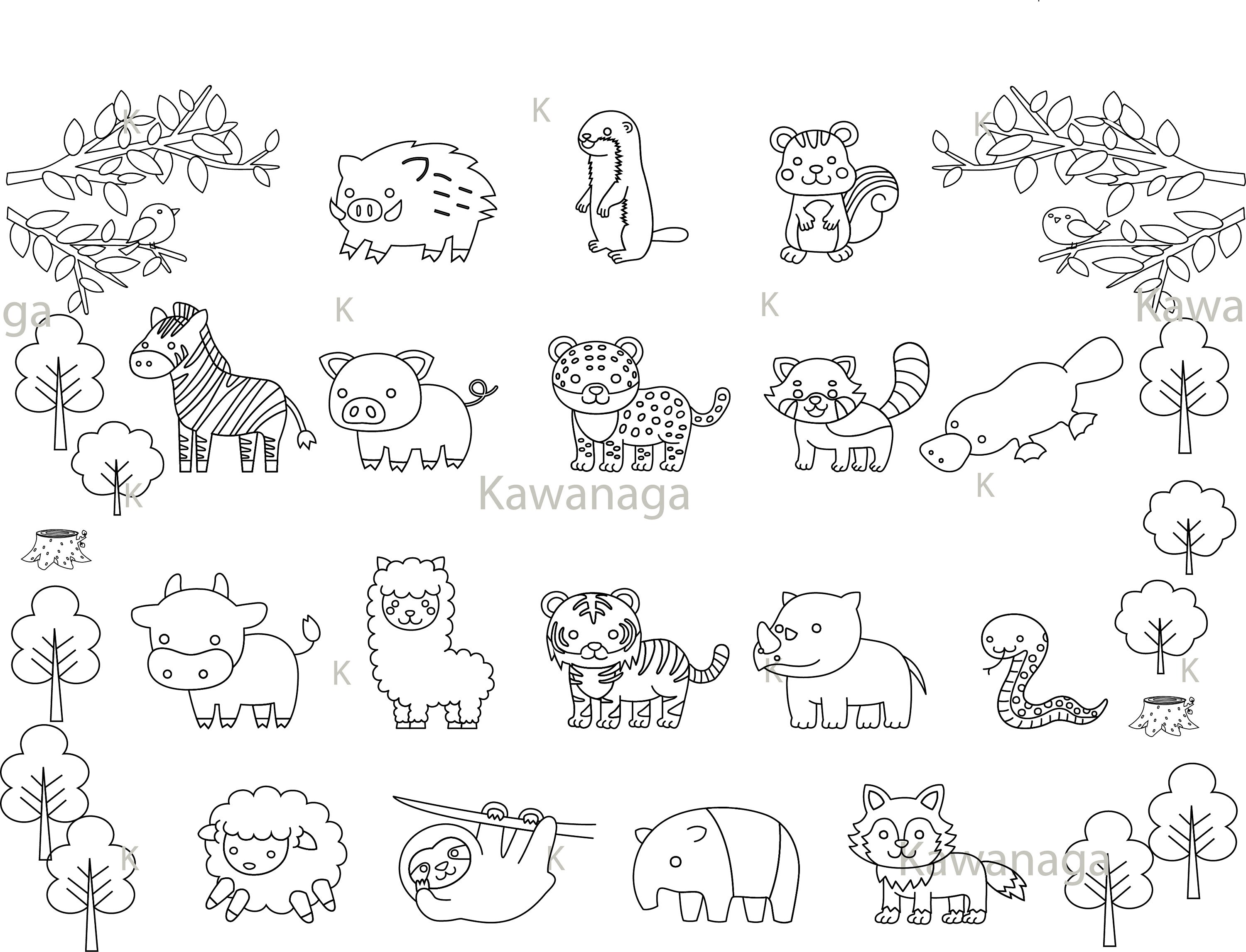 Safari Animal Coloring Outline Bundle for Kids School Student Projects