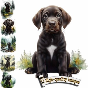 6 cachorros de labrador, perro de caza, clipart PNG - Arte digital retriever para descarga instantánea Decoración