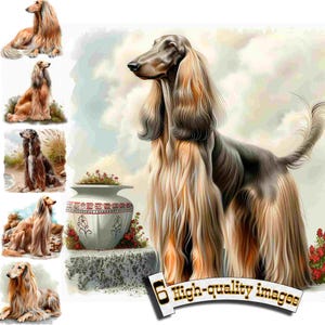6 Levriero afgano, Cane da caccia, Clipart di levriero afgano PNG, Grafica digitale, Download istantaneo, Download digitale di grafica,