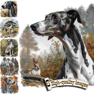 6 Cane Levriero Italiano, Cane da Caccia, Cane Levriero Clipart PNG, Grafica Digitale, Download Istantaneo, Download Digitale Grafica,