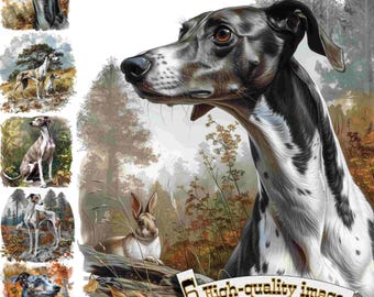 Könnte beinhalten: Ein schwarz-weißer Greyhound mit geflecktem Fell steht in einer Waldlandschaft. Der Hund blickt nach links aus dem Bild. Ein kleines braunes Kaninchen sitzt im Vordergrund auf einem Baumstamm. Der Text "6 hochwertige Bilder" ist in der unteren rechten Ecke des Bildes zu sehen.
