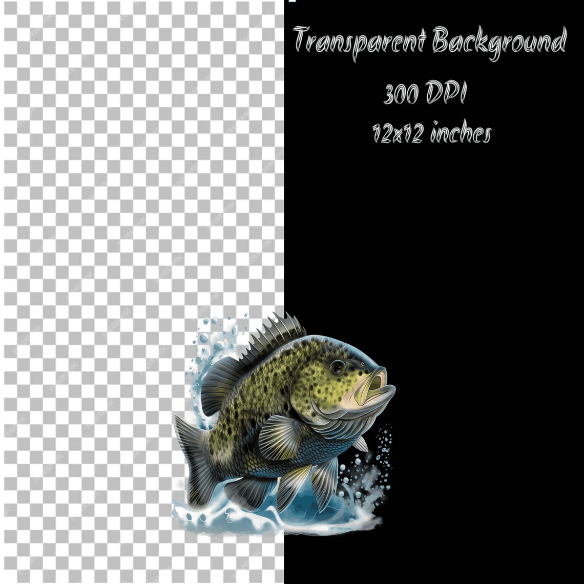 Crappie Fish Graphics 6 Crappie Fish Clipart Bundle: Digital PNG Graphics for Fishing ...
