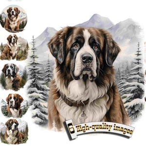 6 St. Bernard Dog, St. Bernard Clipart PNG, St. Bernard Clip Art, Saint Bernard T-Short, Digital Graphic, Instant Download