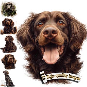6 Cane Spaniel Boykin, Cane da caccia, Cane Spaniel Boykin Clipart PNG, Grafica digitale, Download istantaneo, Grafica download digitale,