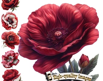 6 Poppies flower Clipart, Poppy Watercolor Flower, High Quality PNG - Digital Download, Card Making, Mixed Media, Digital Paper Craft