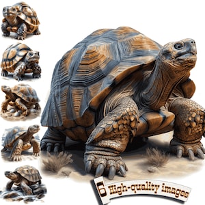 6 Schildkröten Clipart, PNG Schildkröte, Schildkröte in Afrika, Schildkröte Sublimation, Schildkröte druckbar, süße Tiere
