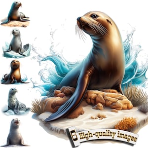 6 imágenes prediseñadas de leones marinos, imágenes PNG de leones marinos, focas en el océano, sublimación de leones marinos, leones marinos imprimibles, lindos animales acuáticos