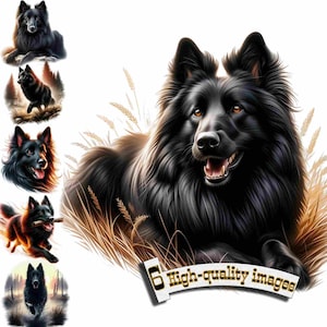 Perro Groenendael (6), clipart de perro PNG, clipart de Groenendael, gráfico digital, descarga instantánea