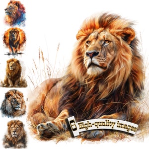 6 Lions in African savanna, Lions Clipart PNG, Digital Graphic, Instant Download, Digital Download Graphic, Nature Illustration