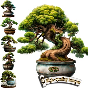 6 Bonsai Clipart, Bonsai Tree High Quality PNG - Digital Download, Card Making, Mixed Media, Digital Paper Craft