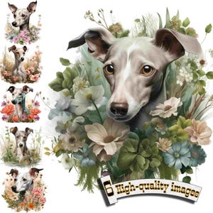 6 Chien lévrier italien, chien de chasse, lévrier chien Clipart PNG, graphique numérique, téléchargement immédiat, téléchargement graphique numérique,