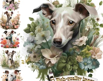 Könnte beinhalten: Ein grauer und weißer Italienischer Windhund mit braunen Augen ist von einem Strauß weißer, rosa und blauer Blumen umgeben. Der Hund schaut direkt auf den Betrachter.